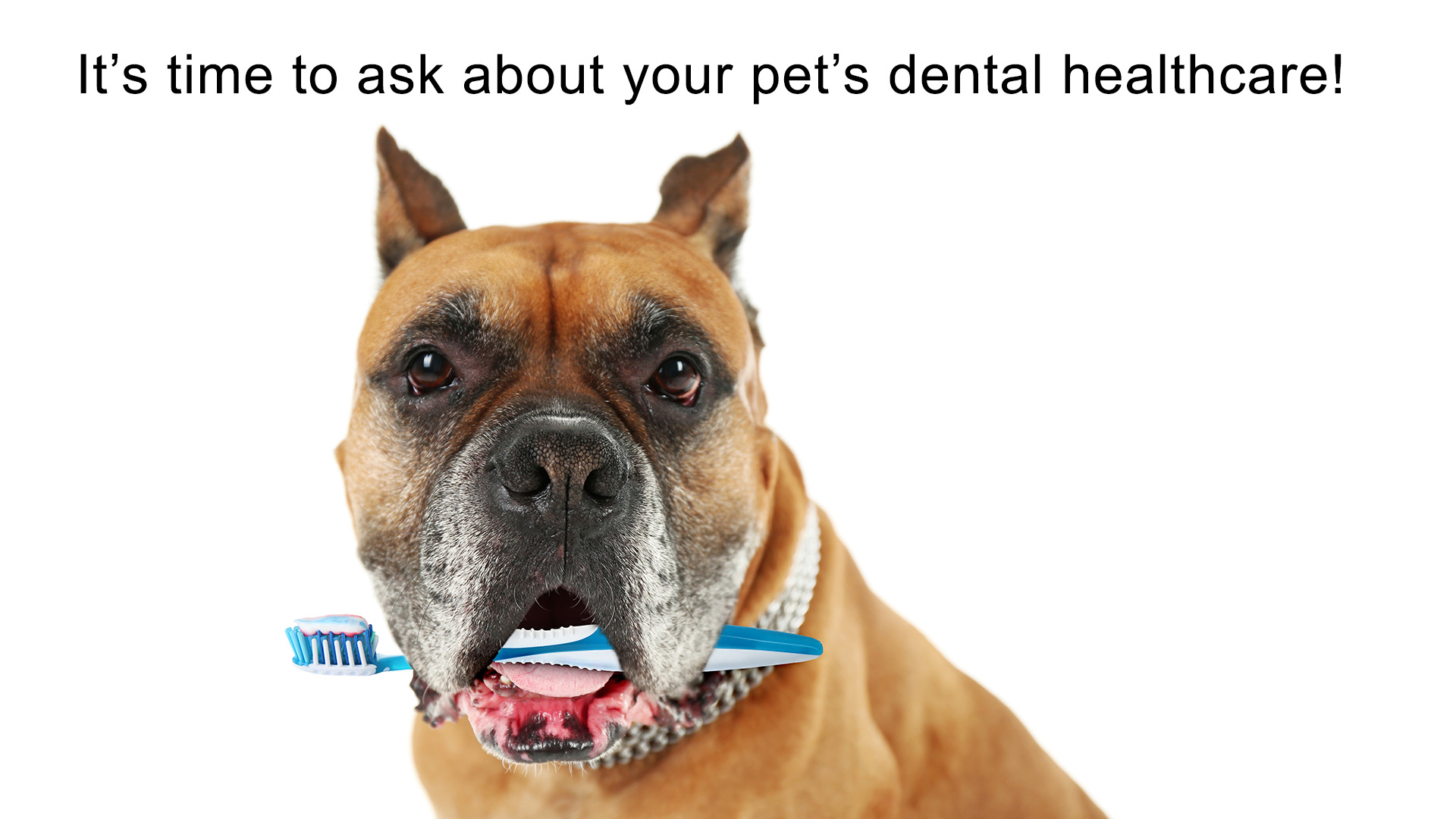 Dentistry