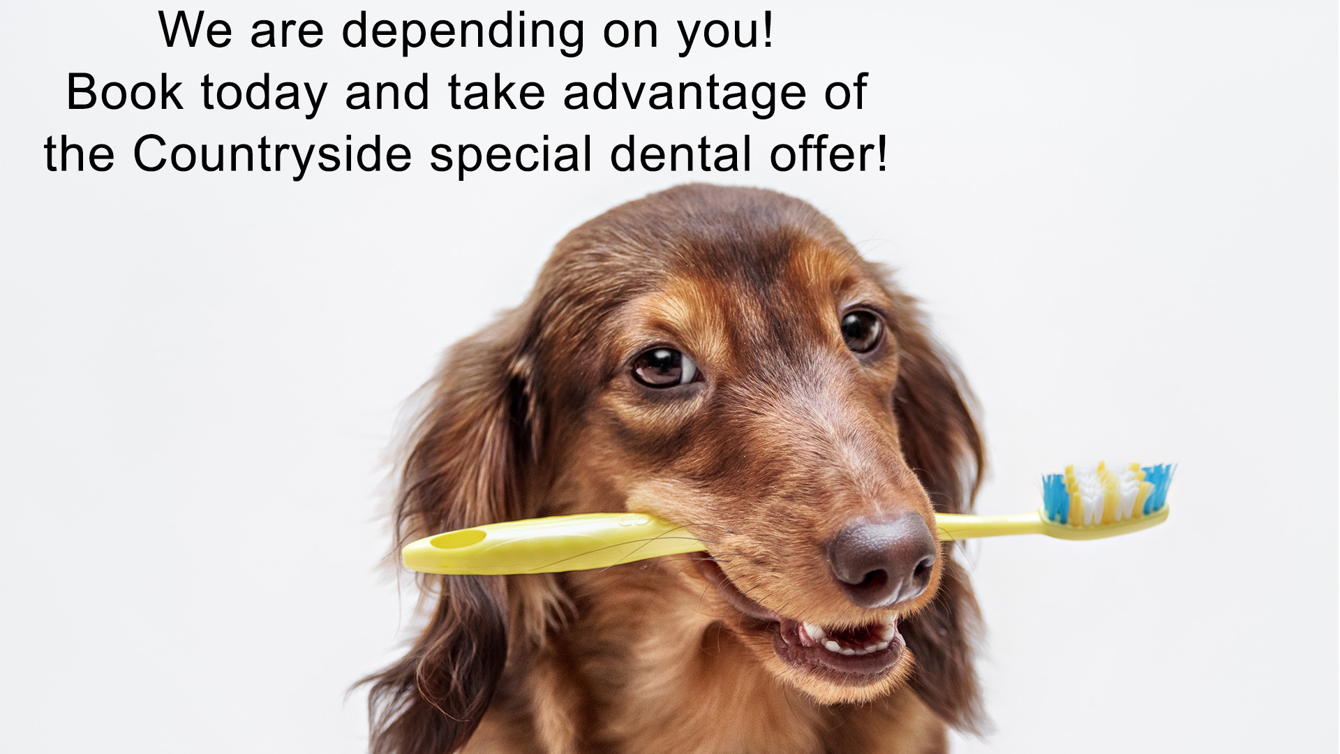 Dentistry
