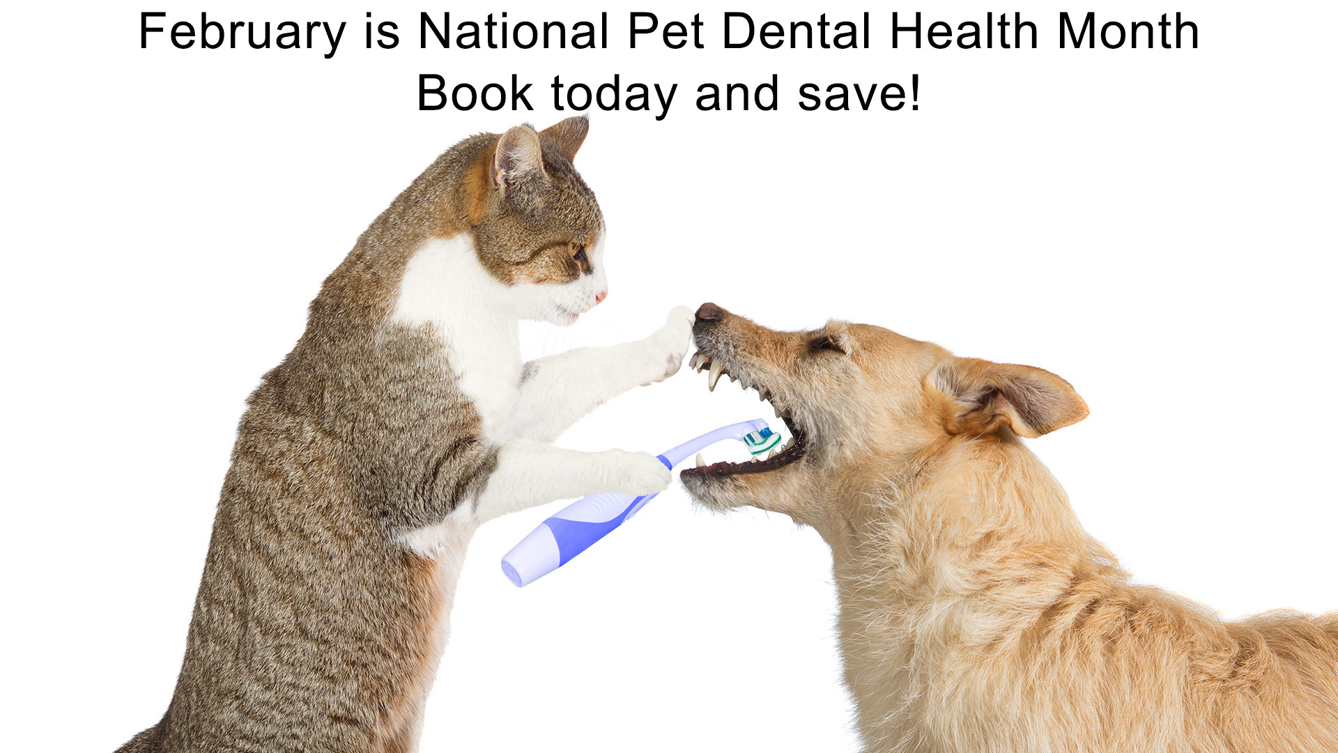 Dentistry