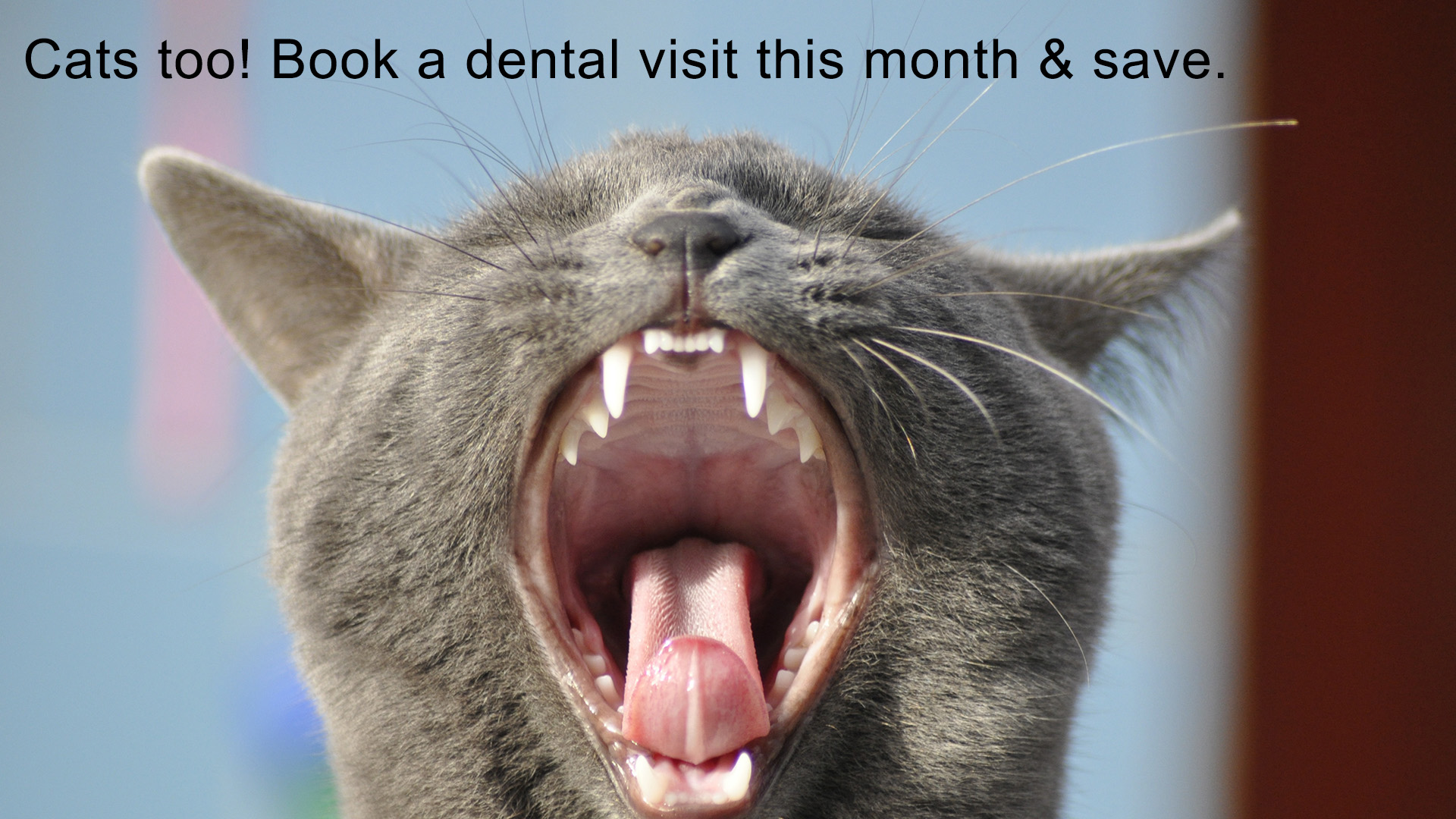 Dentistry