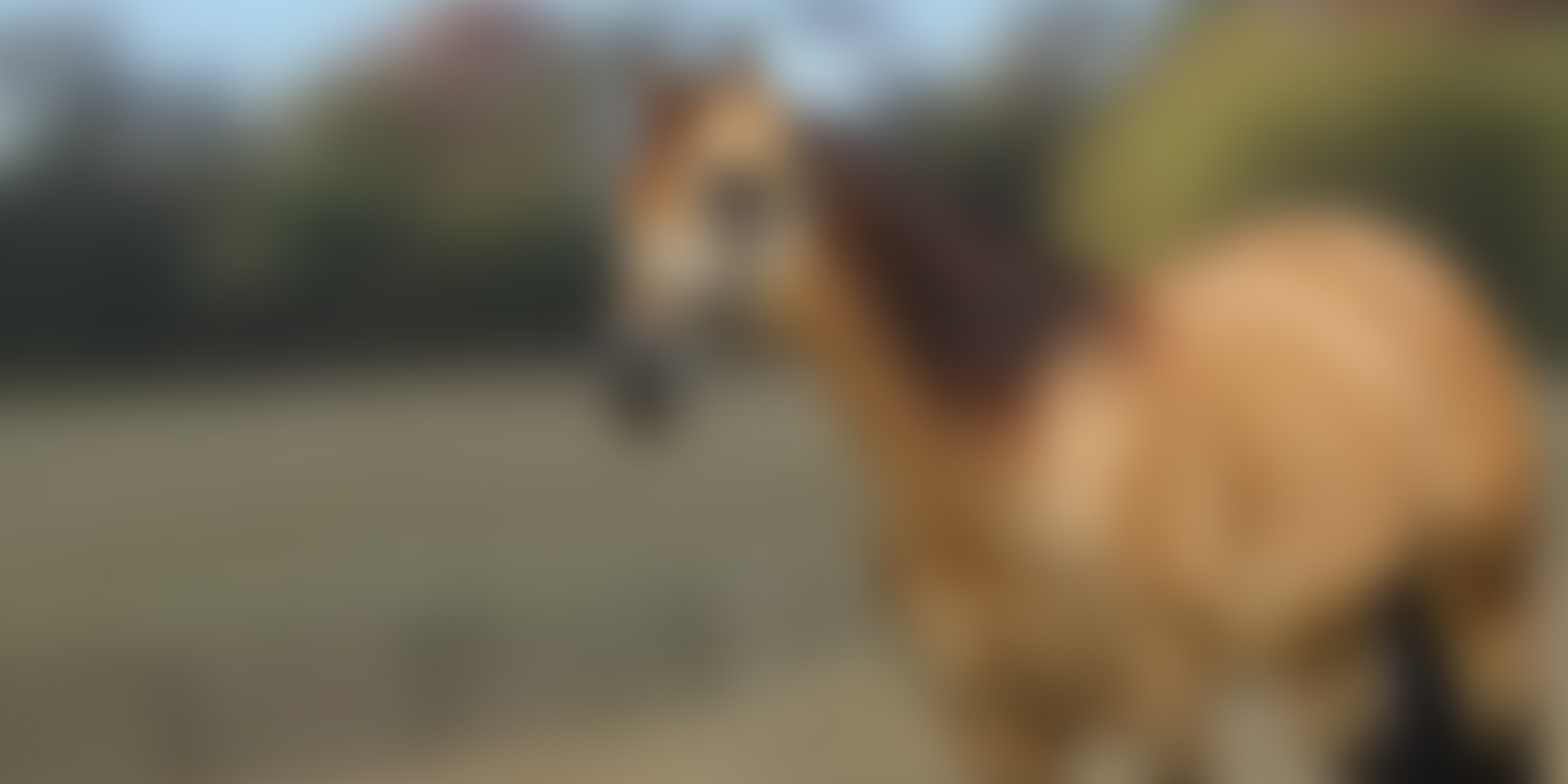 Know Whats Good In Pasture Know Whats Good In Pasture